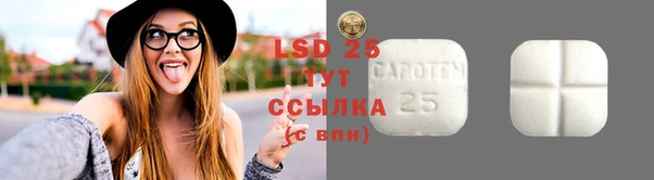 ешки Алзамай