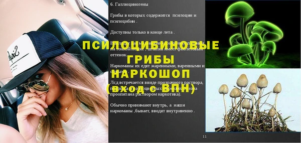 ешки Алексин