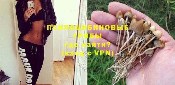 ешки Алзамай