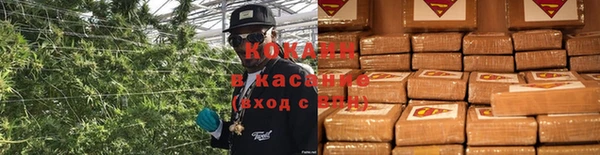 ешки Алзамай