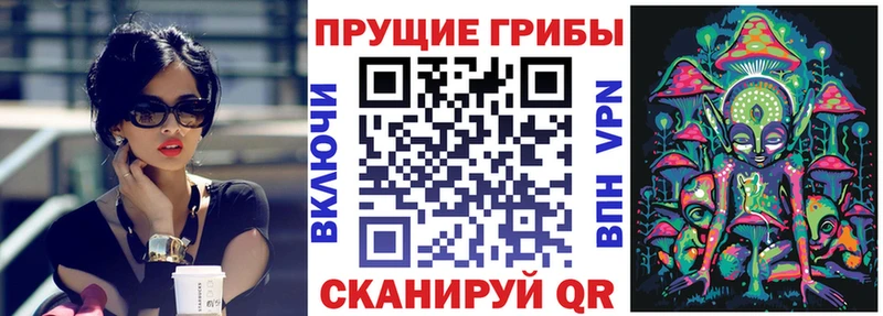 Псилоцибиновые грибы Psilocybe  купить наркоту  Жуковка 